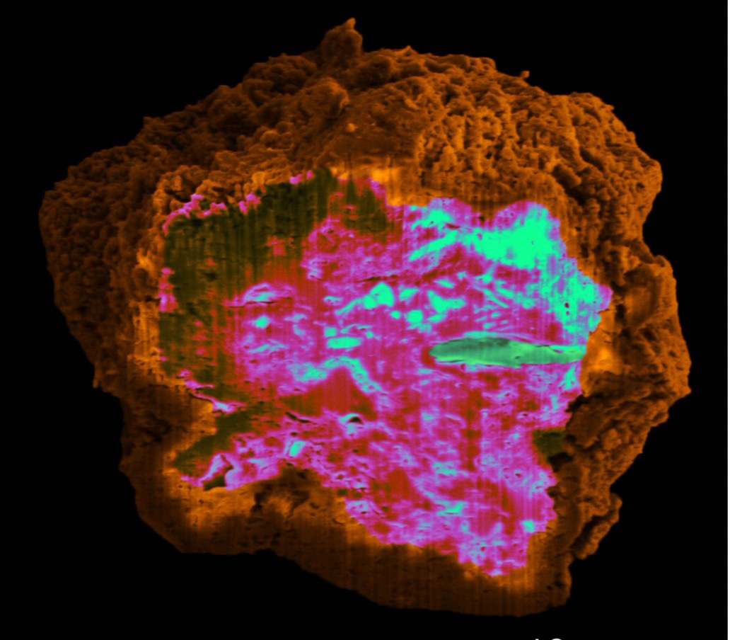 a micrograph image of an orange blob