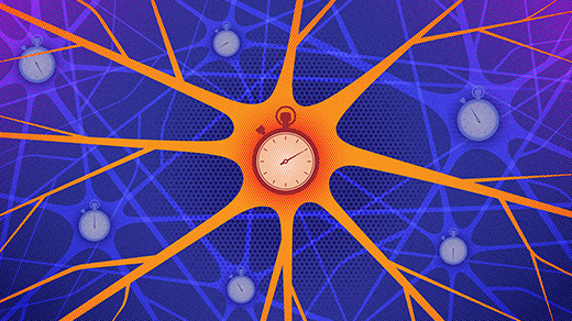 An illustration of a network of neurons, each one equipped with its own stopwatch.