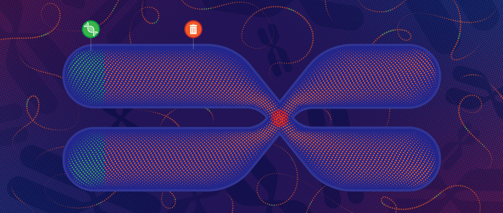 Illustration of DNA that represents how only a small part of the genome encodes proteins.