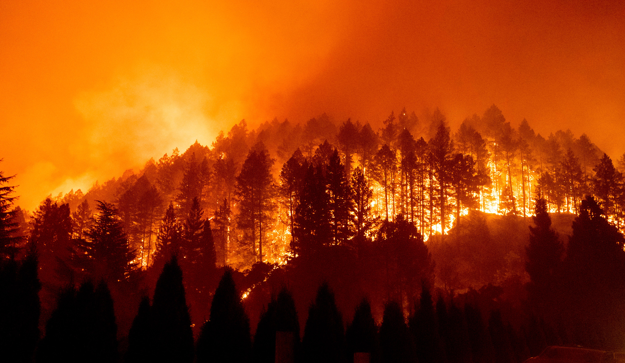 The Glass fire burns a hillside in St. Helena, California, in 2020.