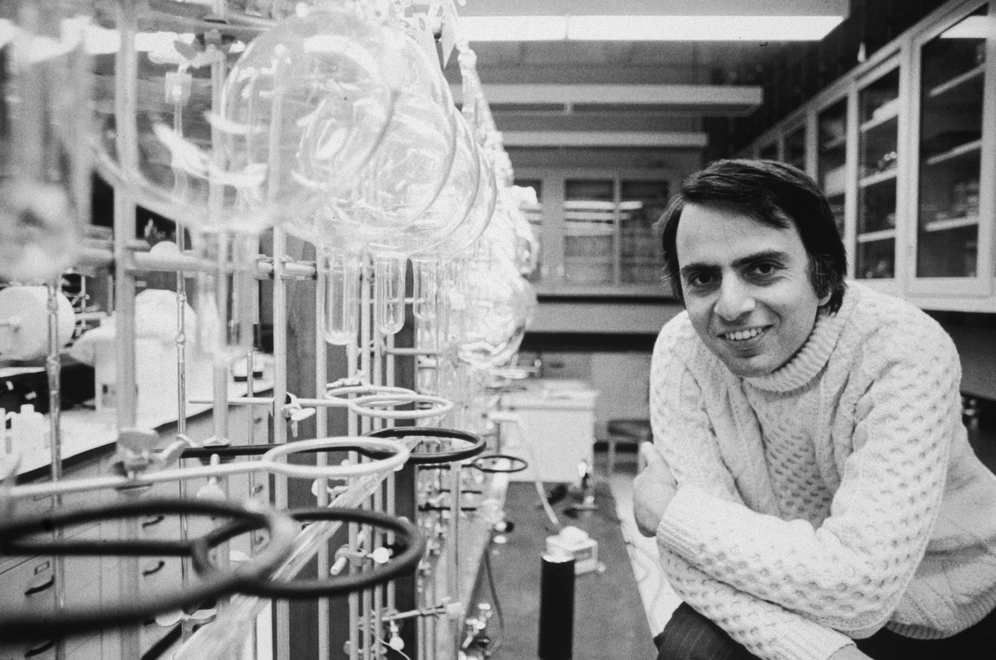 Carl Sagan smiling in a sweater.