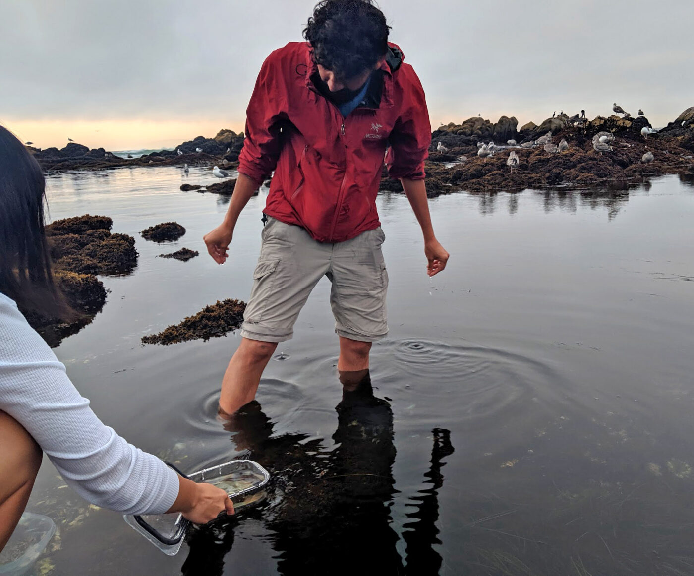 Photo of Manu Prakash of Stanford University standing in Monterey Bay.