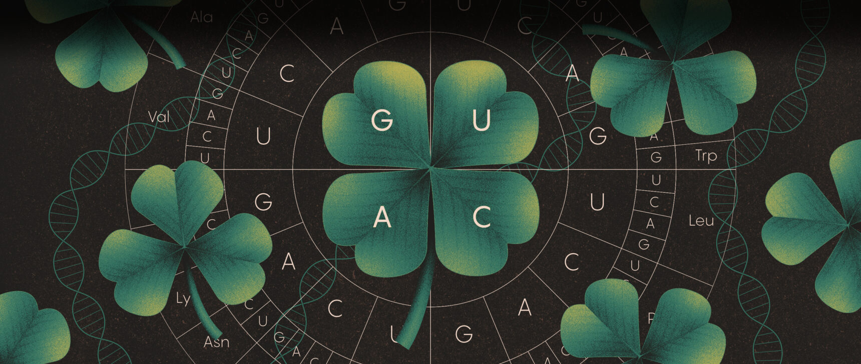 Illustration that combines elements of three- and four-leaf clovers with the letter for nucleotides in codons.