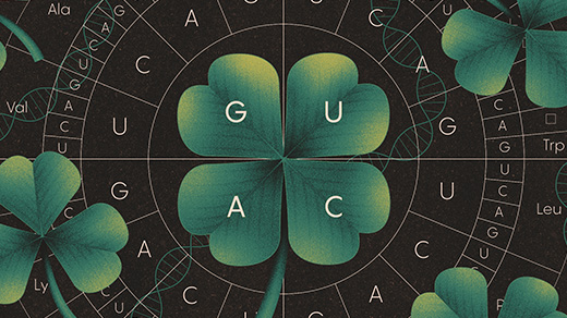 Illustration that combines elements of three- and four-leaf clovers with the letter for nucleotides in codons.