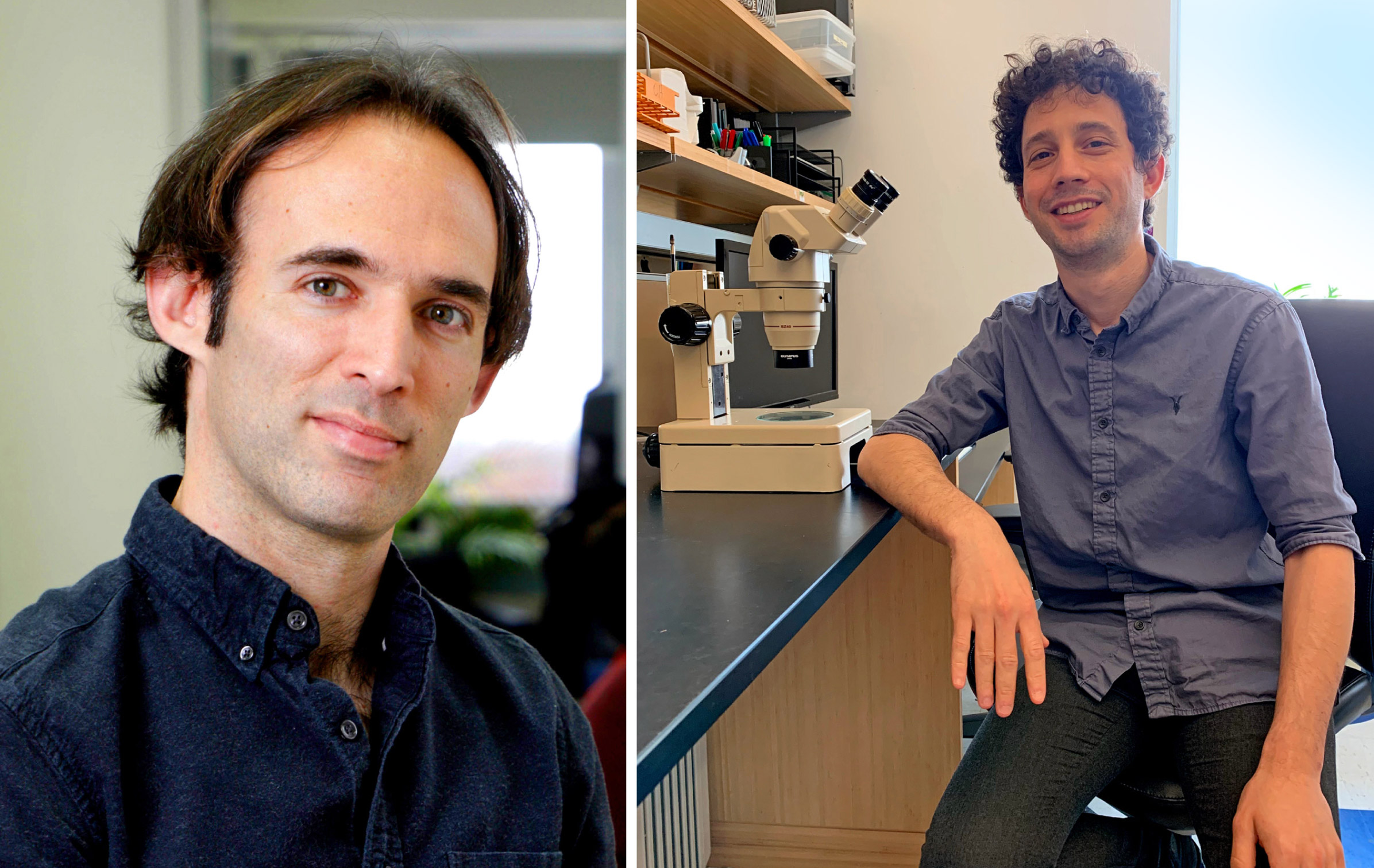 Photo portraits of the scientists Oded Rechavi and Itai Toker.