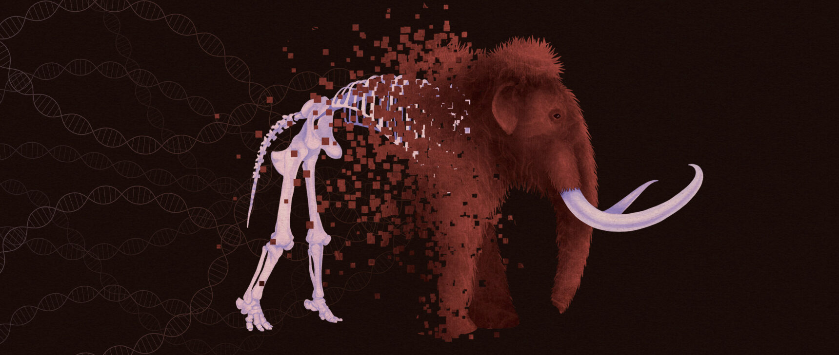 Illustration of a wooly mammoth with its hind quarters still being assembled from digital blocks.