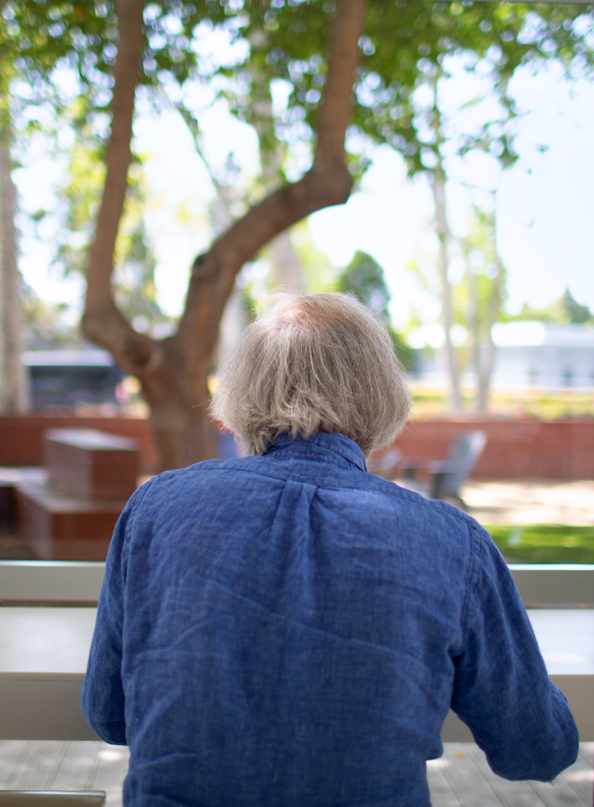 Outdoor photo of Leslie Lamport in a blue shirt turned away from the camera, with trees and outdoor chairs in the background