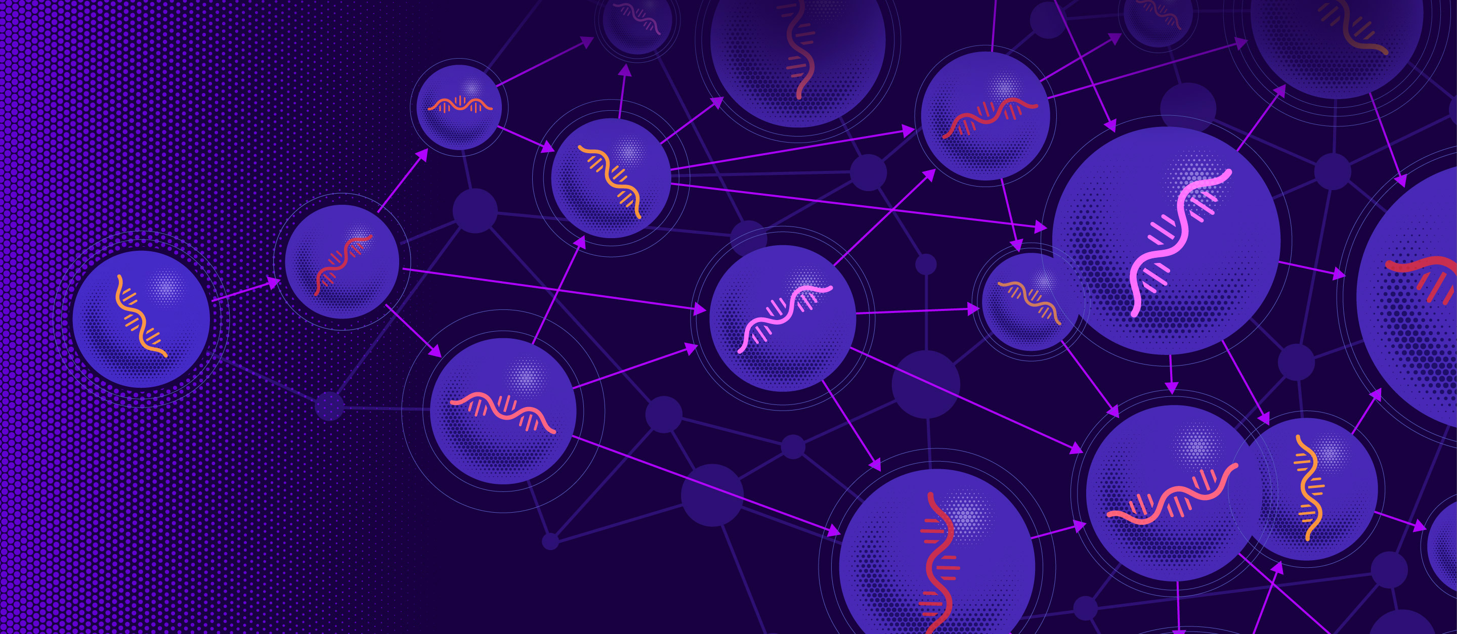 Illustration of a network of self-replicating RNA molecules evolving and getting more complex.