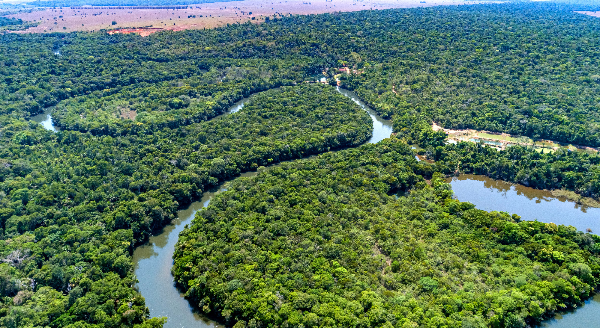 Aerial view of a section of the Amazon forest, showing islands created by the winding rivers.