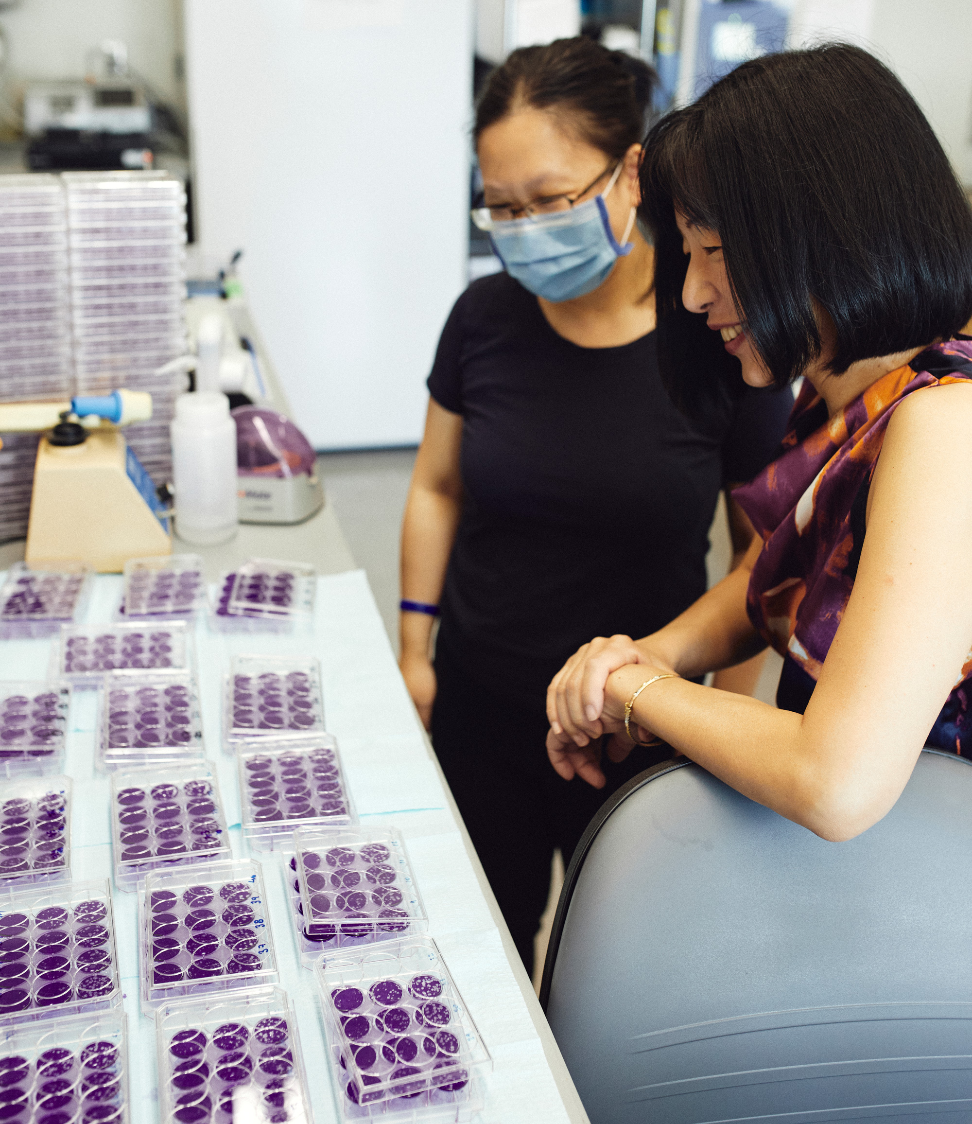 Akiko Iwasaki and a co-worker look at an array of culture dishes in her laboratory at Yale University.