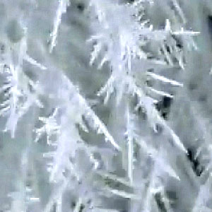 Dendritic ice crystals grow from top to bottom across the frame of a video.