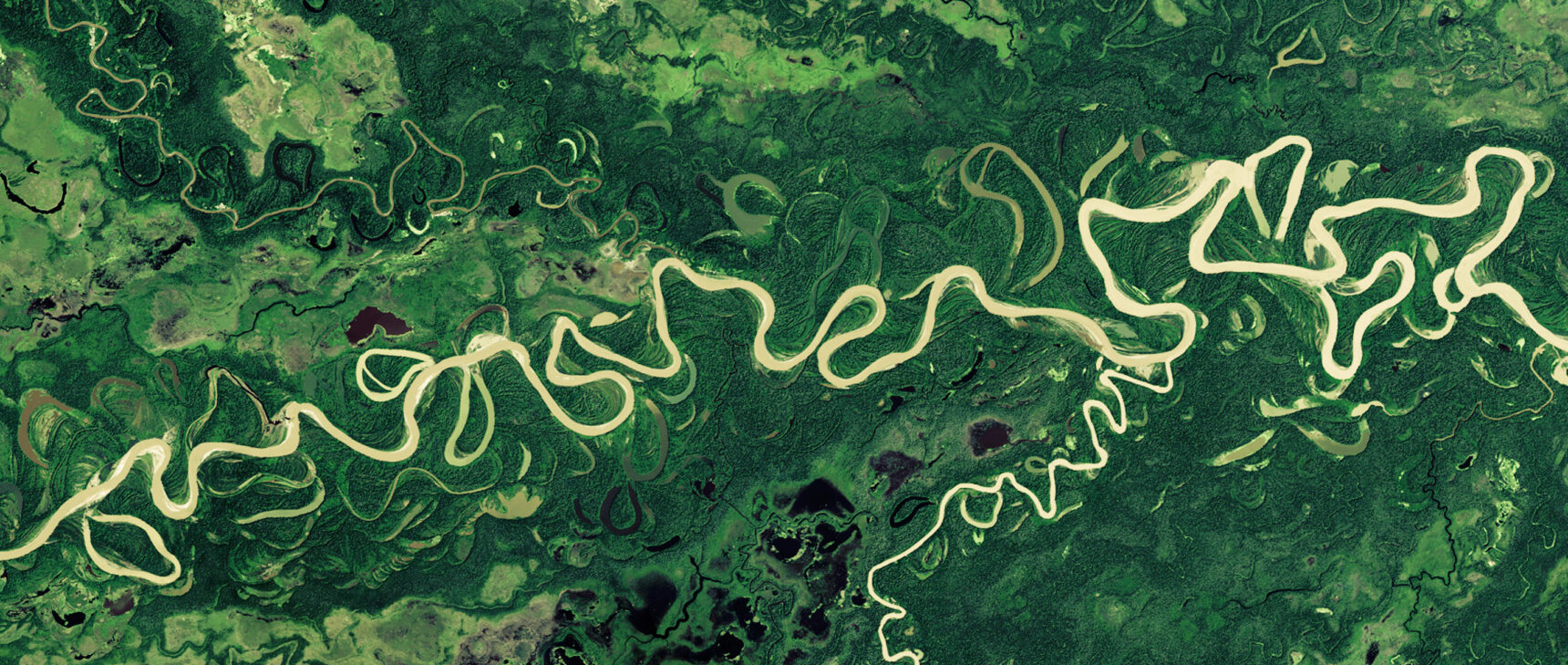 A satellite photo of the complex of rivers in the Amazon.