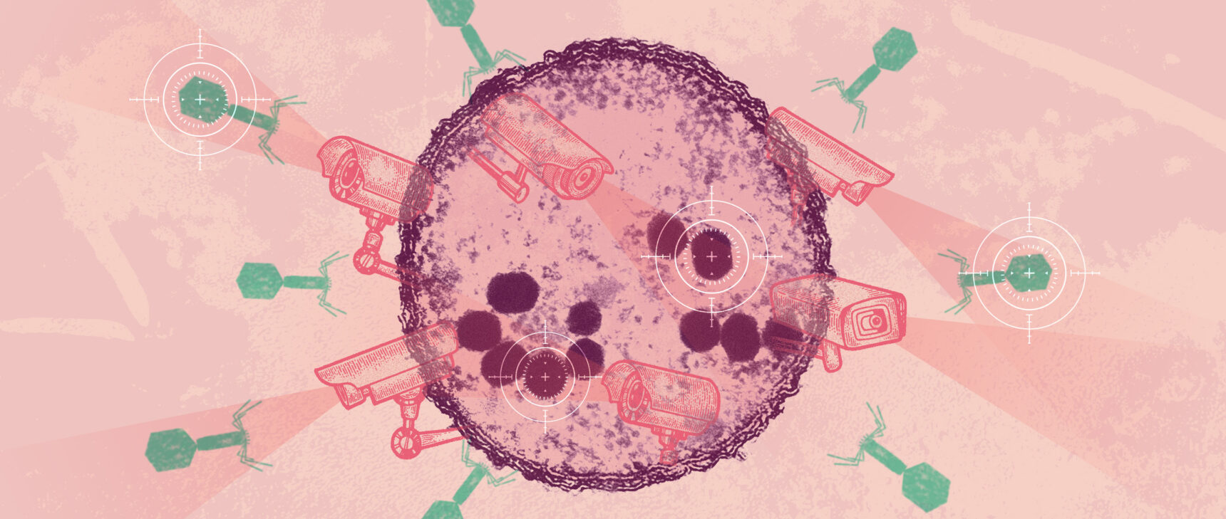 Artistically embellished micrograph showing a bacterial cell using camera surveillance to guard against phage viruses.