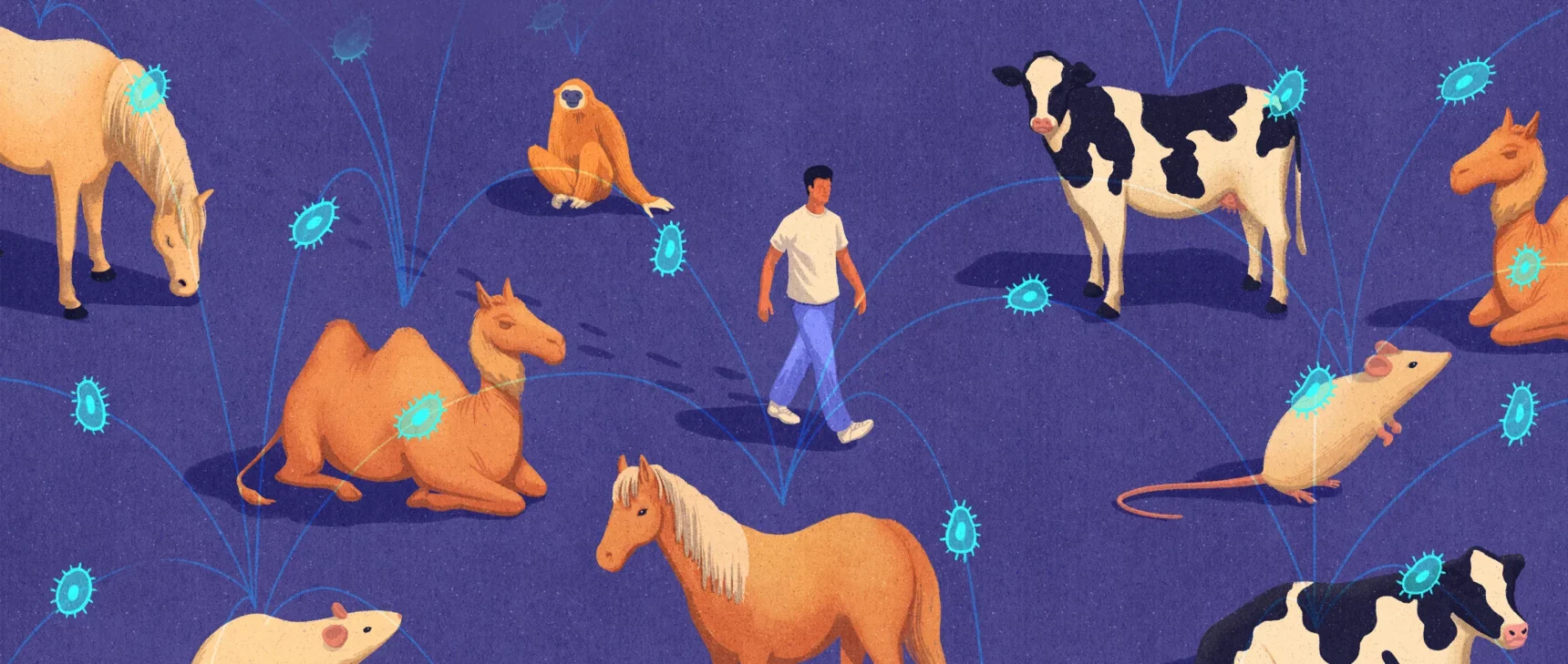 Drawing of a man connected by viruses to mice, horses, camels and more animals