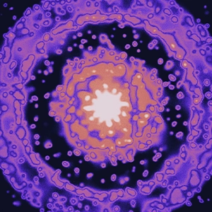 A bright purple splotch surrounded by concentric purple rings.