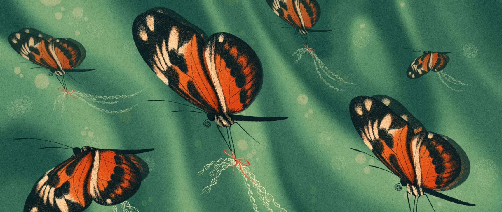 Illustration of butterflies with similar wing-color patterns holding bundles of DNA.