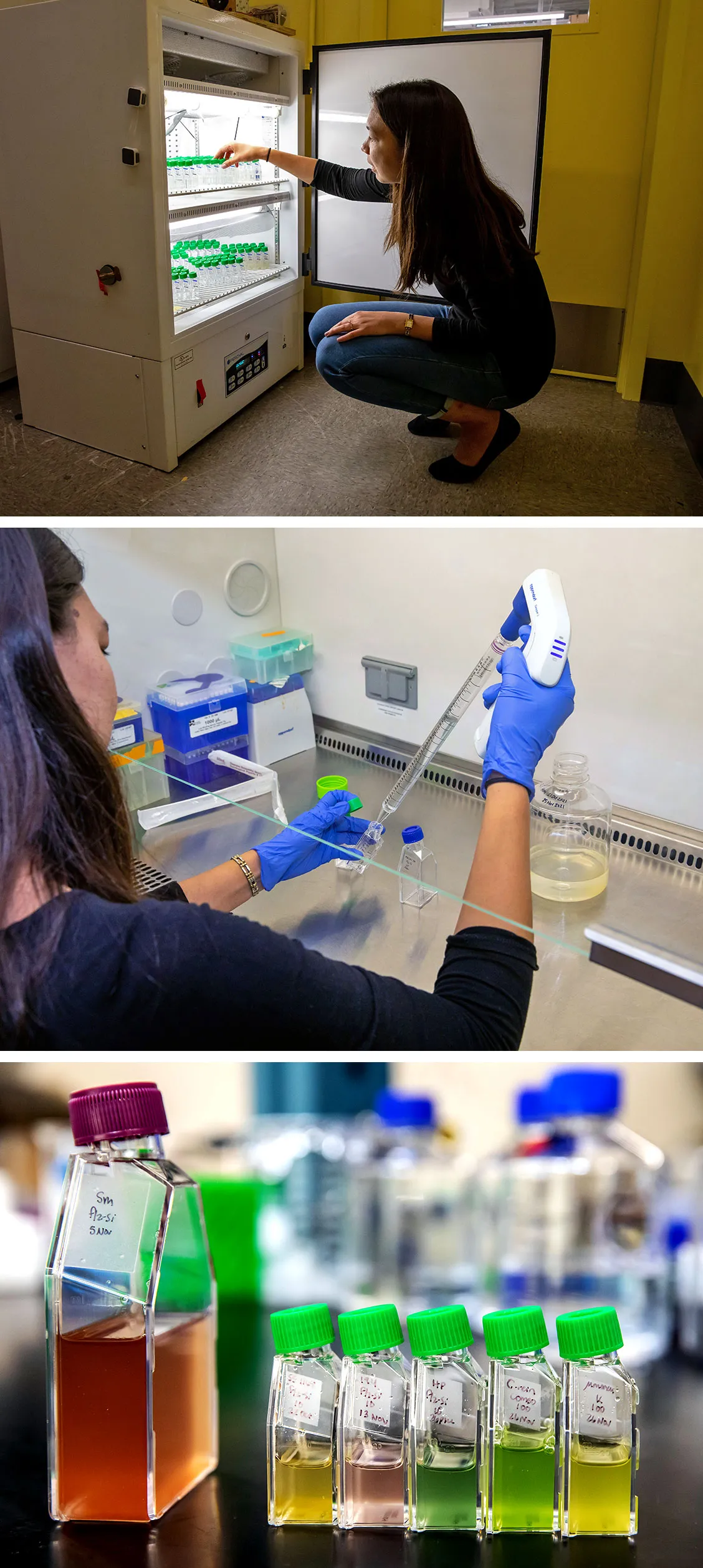 Three photos: Moeller crouching by an incubator holding culture flasks; Moeller pipetting into a sample flask; culture flasks cloudy with cells on a lab bench.