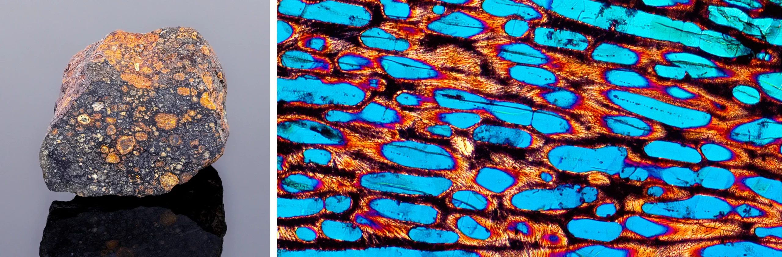 two photos side-by-side, one of a meteorite that looks like a gray rock speckled with orange and white, the other Magnified cross section of carbonaceous chondrite meteorite, showing its complex granular structure.