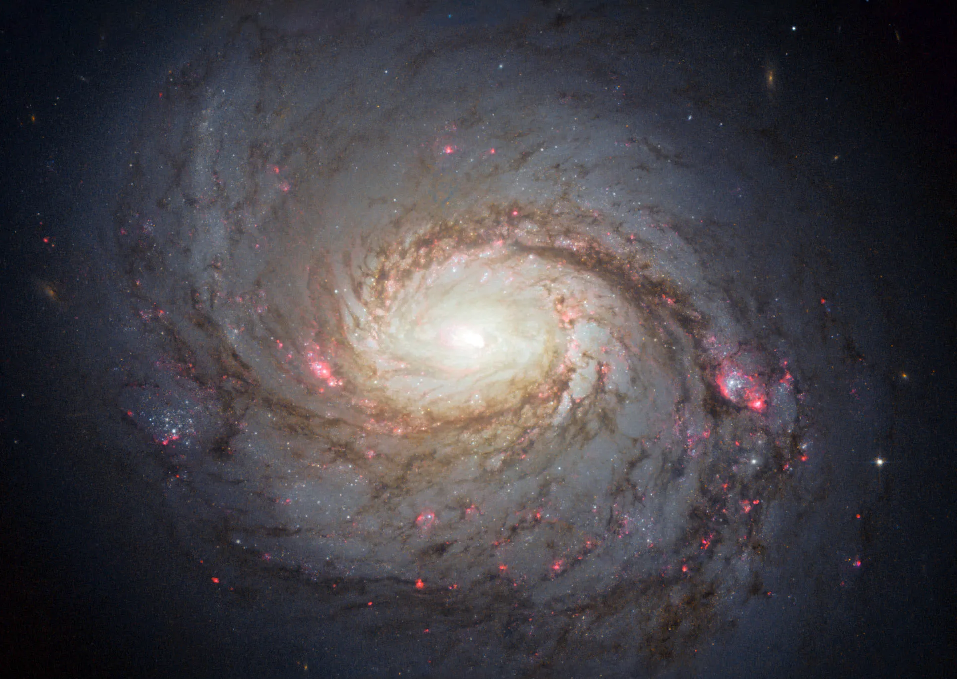 A photo of a spiral galaxy with a bright core.