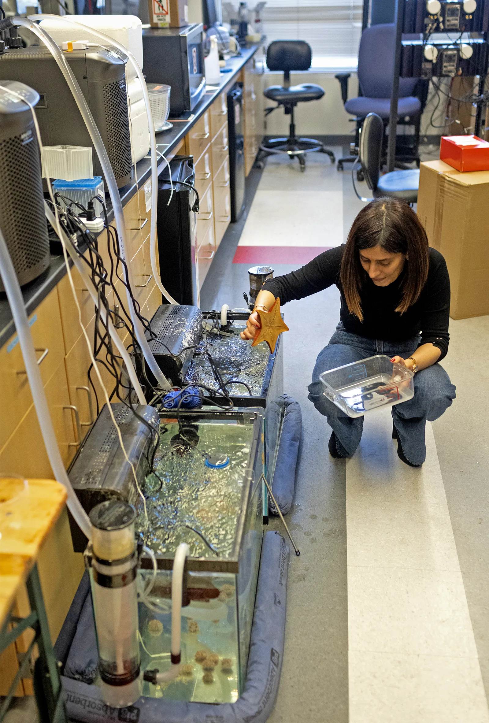 Nikta Fakhri kneeling next to aquariums in her lab.