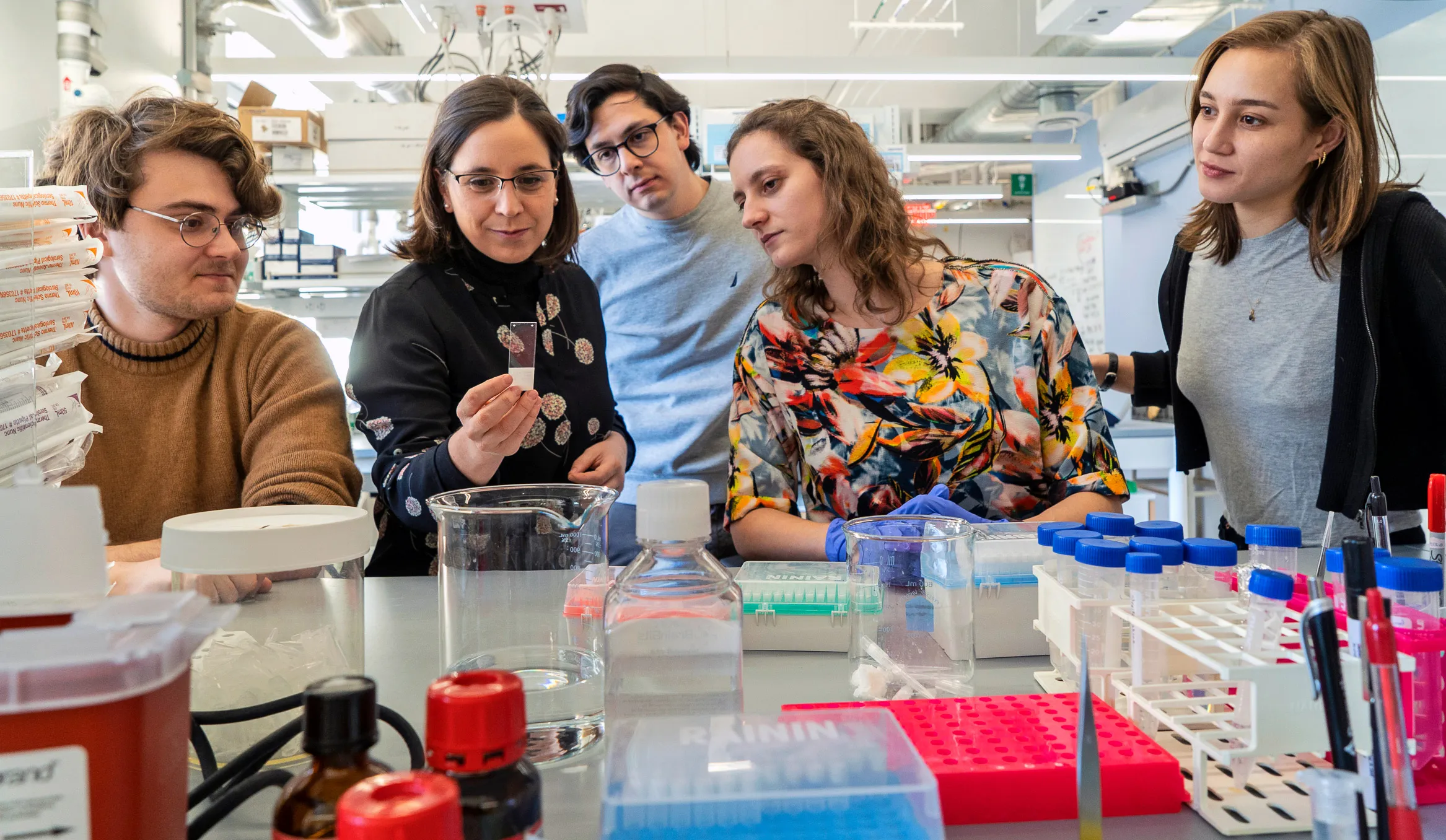 The evolutionary biologist Maria Antonietta Tosches and members of her laboratory gathered around a lab bench.