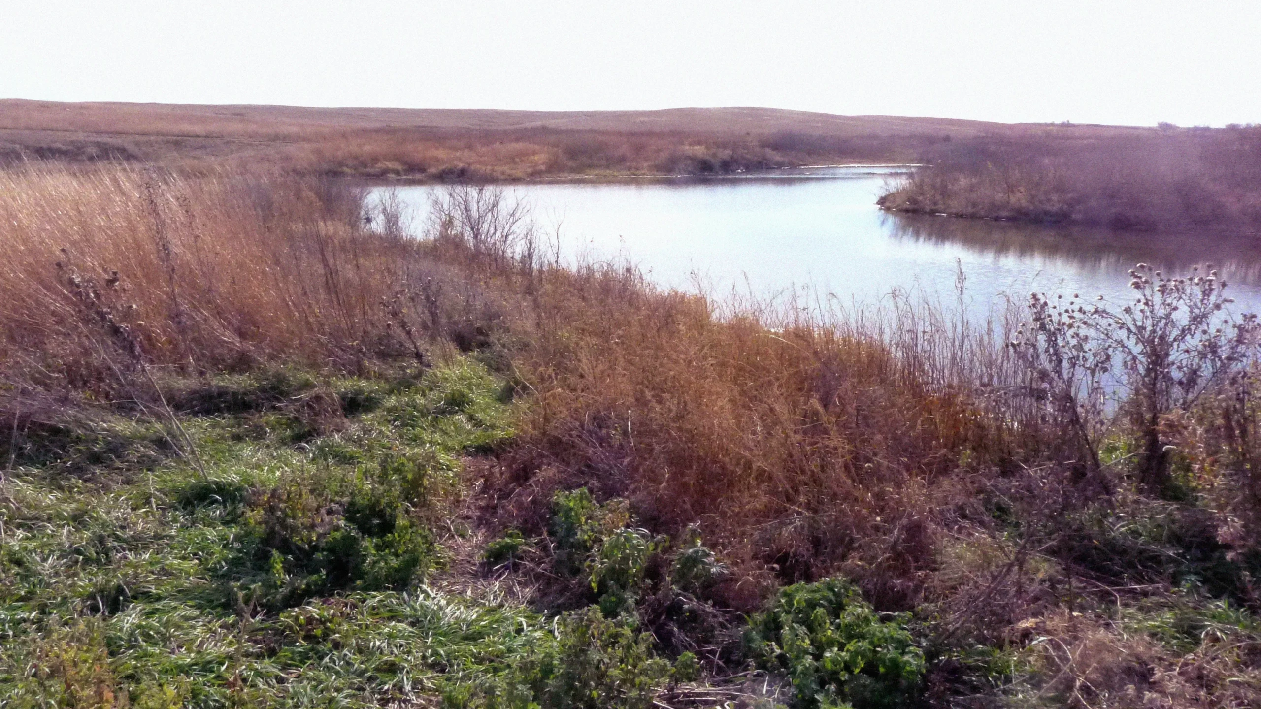 Looking out across a small pond.