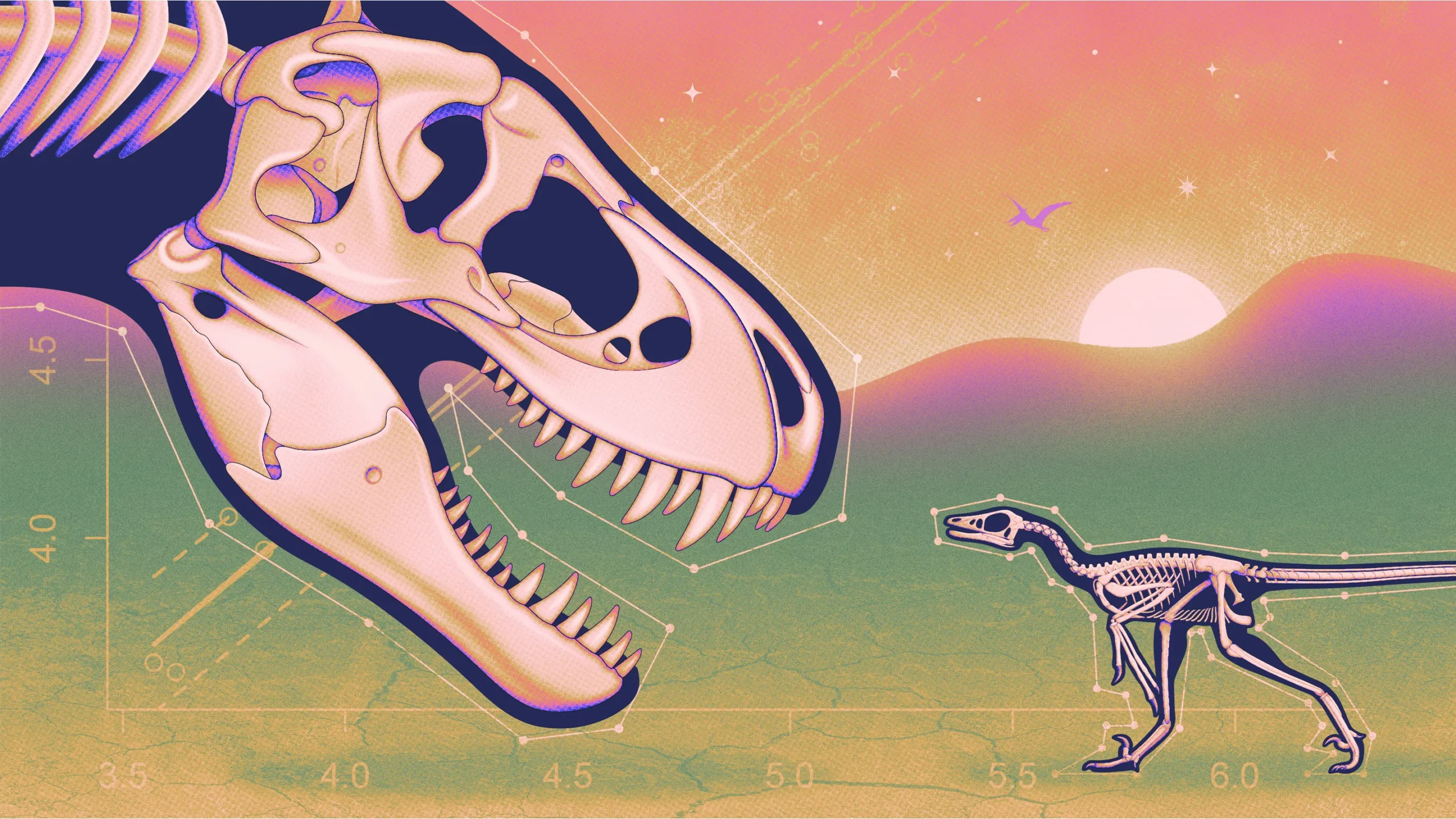 Artist’s conception of a large carnivorous dinosaur skull and the skeleton of a much smaller theropod staring at each other.