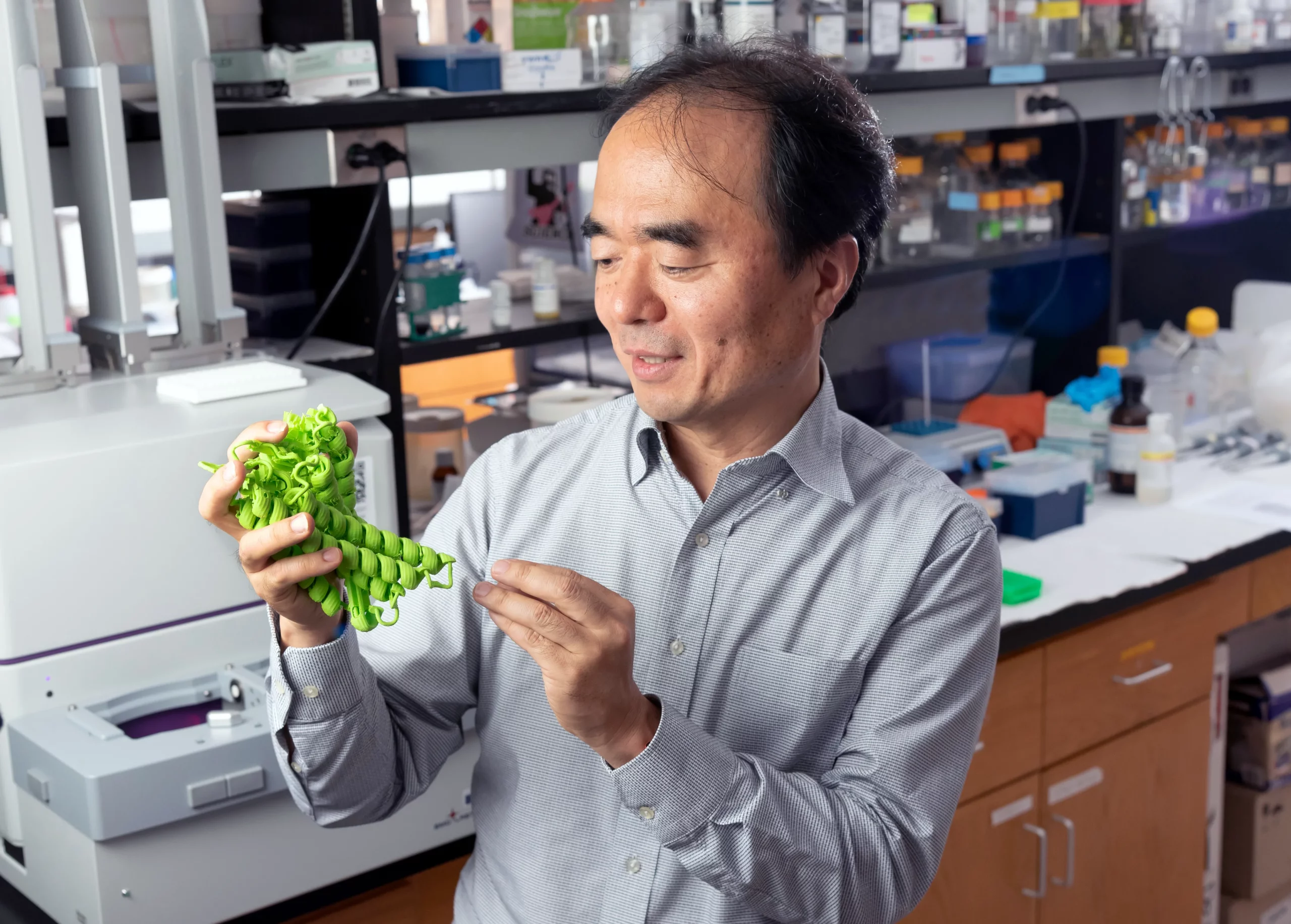 Hiroaki Matsunami in his laboratory at Duke University, holding a model of the OR51E2 olfactory receptor protein.