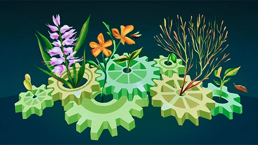 Different species of plants grow from the hubs of horizontal gears that mesh like clockwork.