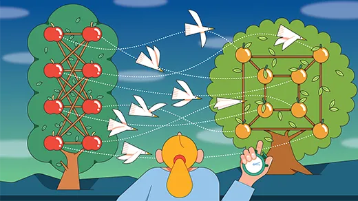 An observer times birds flying between an apple tree and an orange tree that look like graphs.