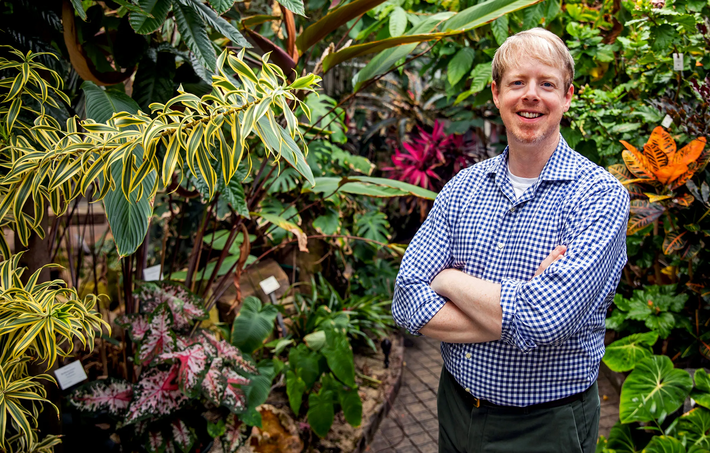 James O’Dwyer standing in a greenhouse full of lush growth.