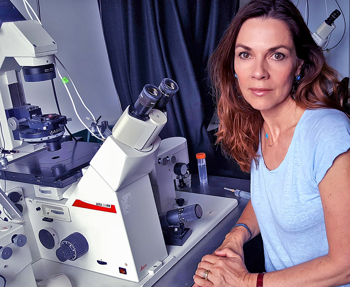 Researcher Magdalena Zernicka-Goetz of the University of Cambridge sitting at a microscope in her lab, looking at camera.