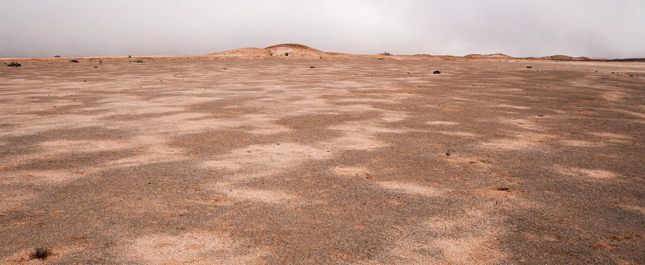 Desert floor of Pan de Azúcar, showing the irregular patches of dark pebbles amid lighter ones.