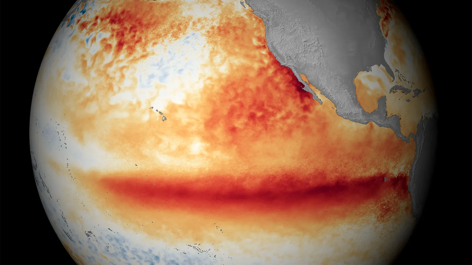 An image of the Earth made from satellite data. It shows the eastern Pacific Ocean and the west coasts of both North and South America. The continents are gray, and the ocean is colored according to sea surface temperature. A belt of dark red — indicating warm surface temperatures — stretches across the ocean at the equator before running into South America.