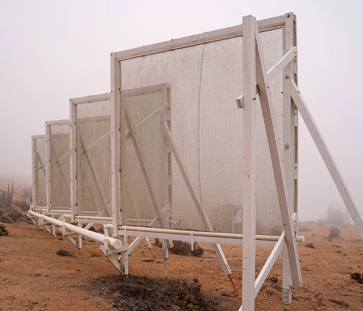 Four large mesh panels set atop a foggy hill.