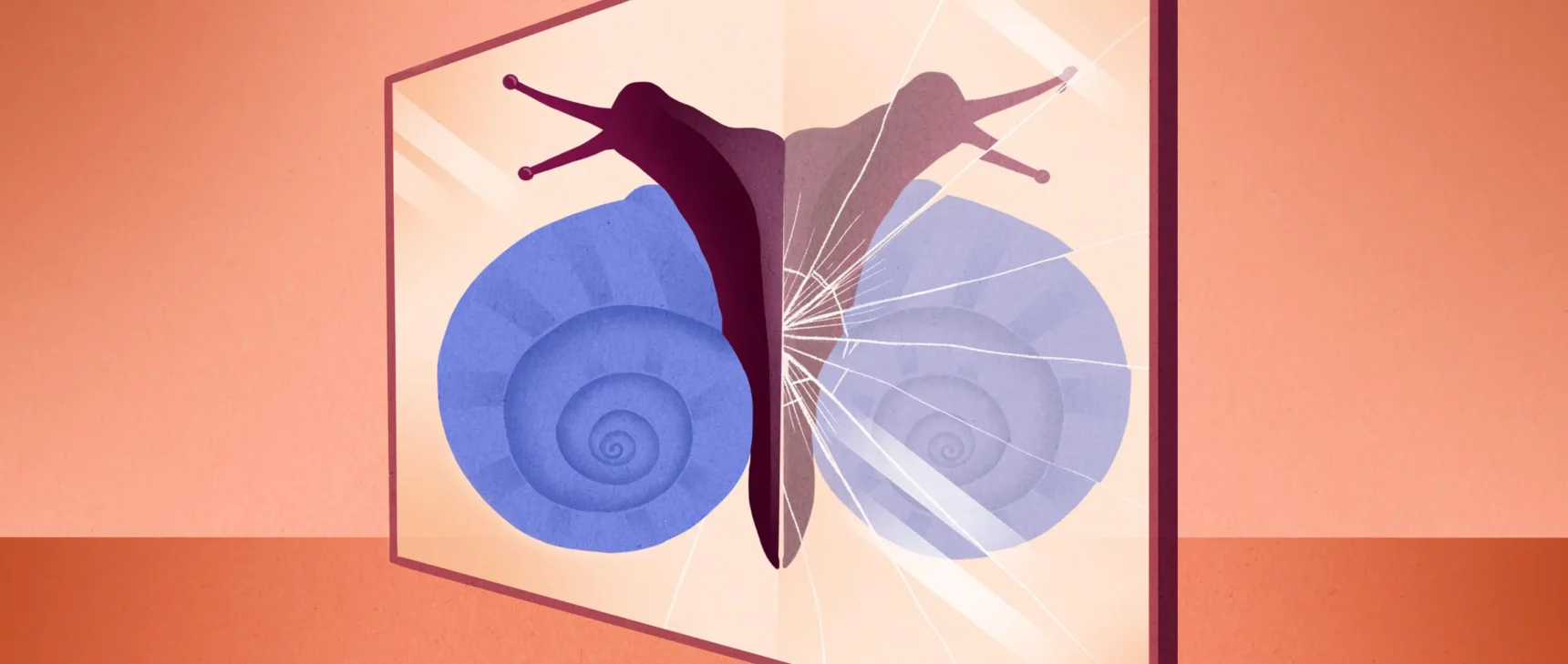 Illustration of a snail climbing on a mirror, showing the opposite spiral of its shell in the reflection.