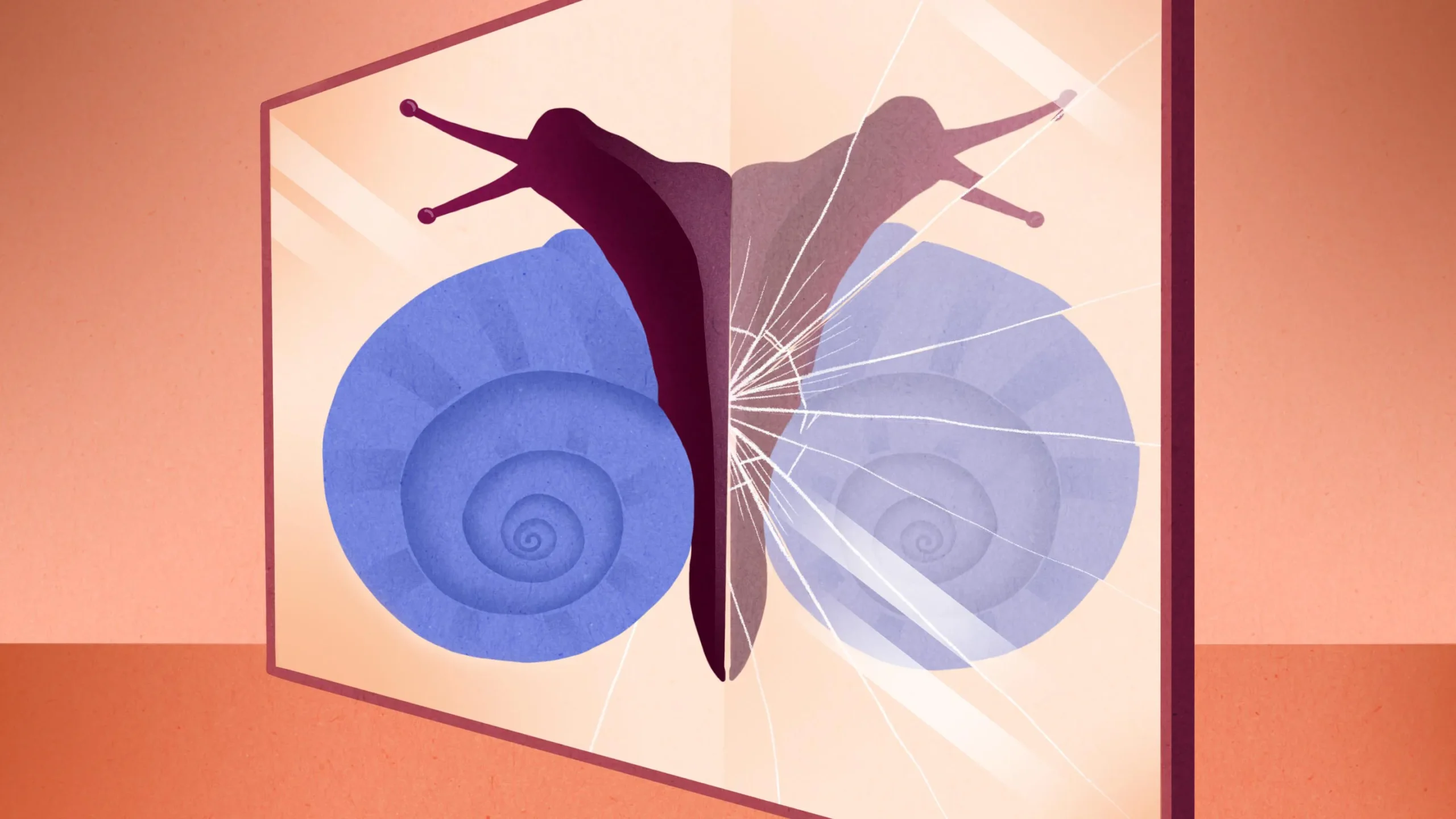 Illustration of a snail climbing on a mirror, showing the opposite spiral of its shell in the reflection.