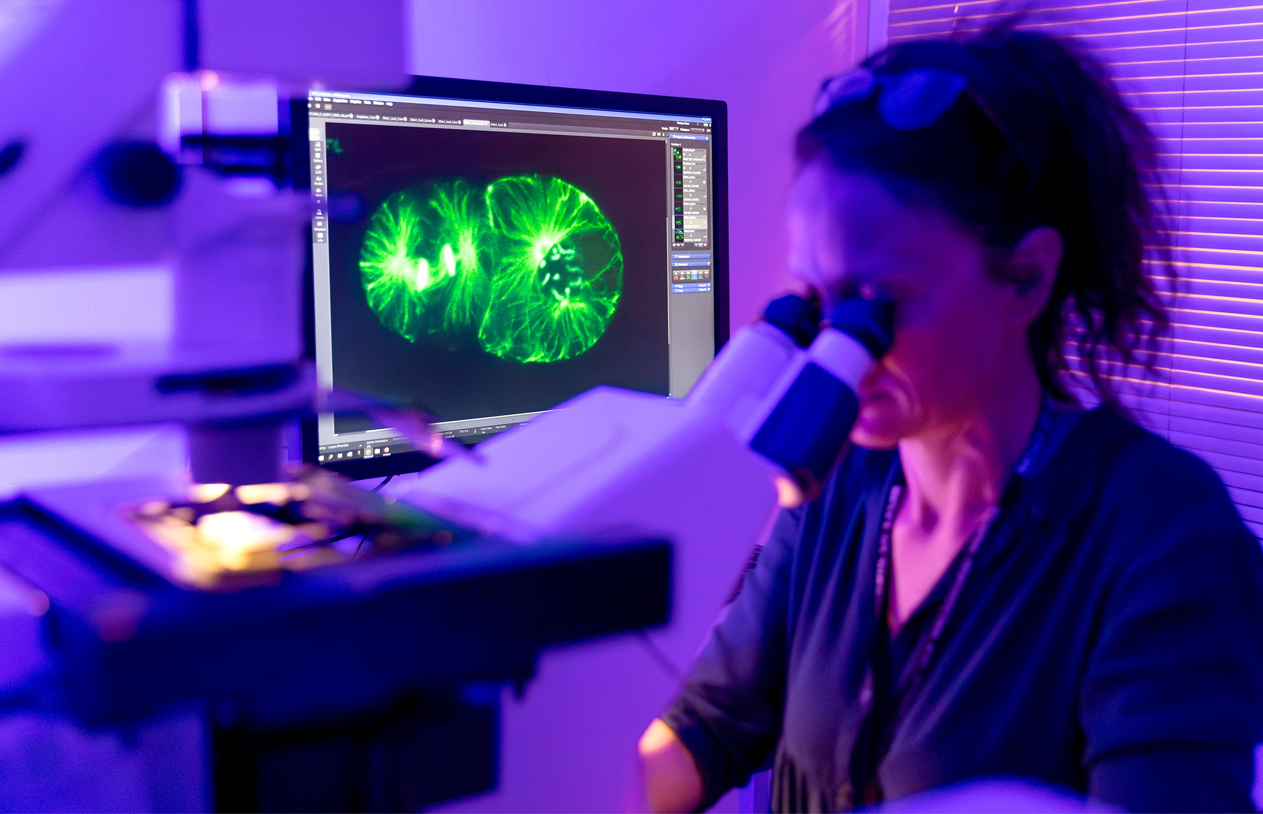 Marie Delattre peers into a microscope in her lab.