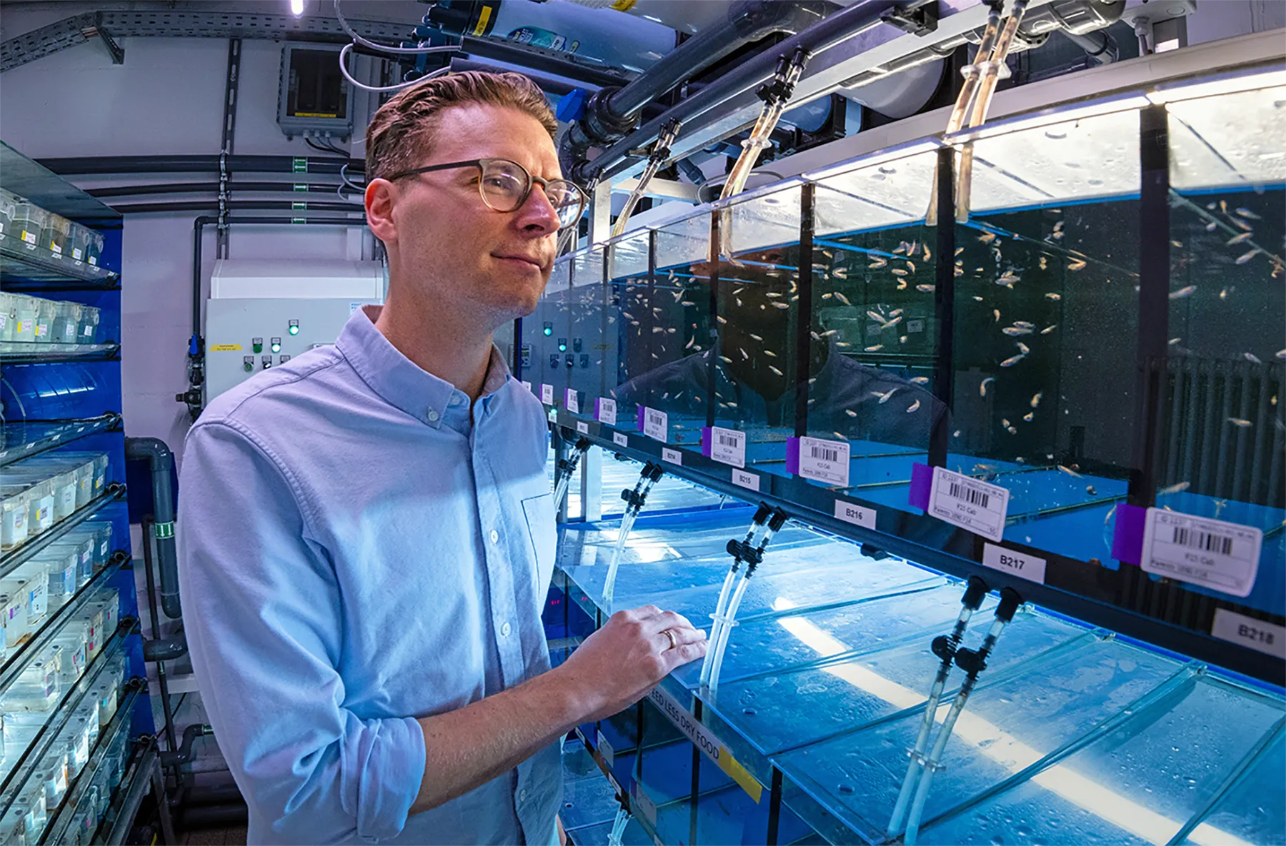 Michael Dorrity gazes into a blue tank with small swimming fish in a room lined with similar fish tanks.