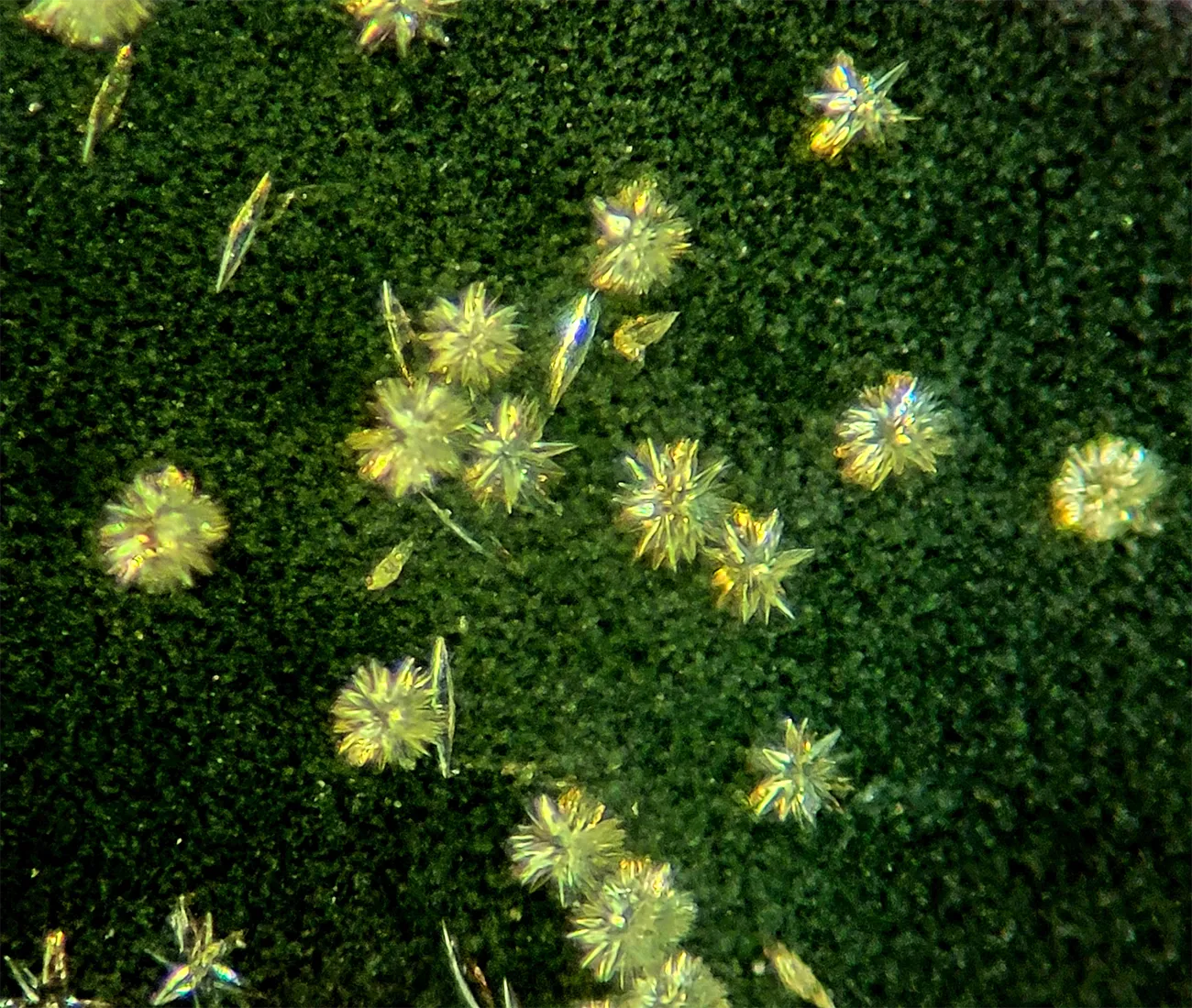 Crystals that have formed on a surface.