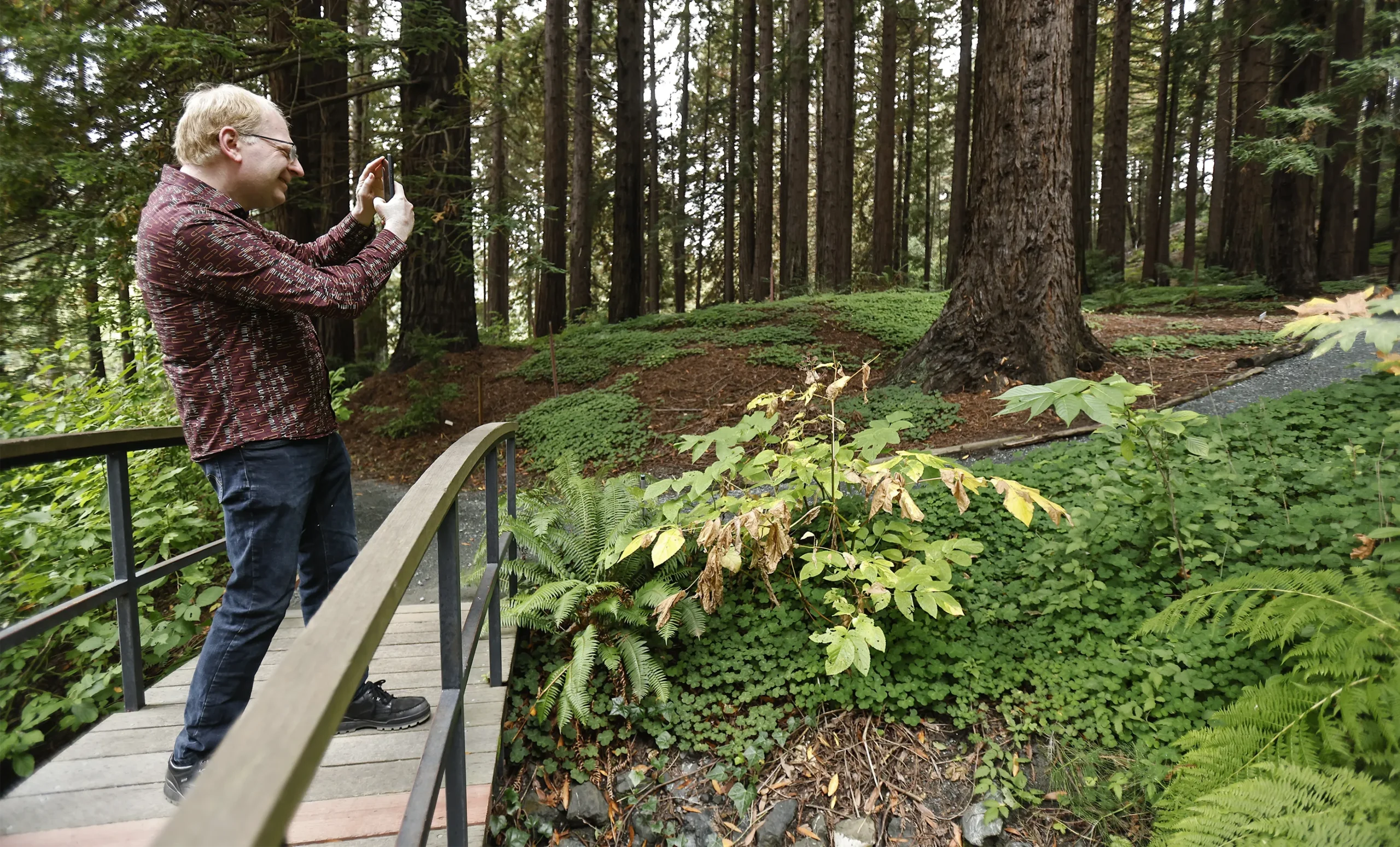 Efros takes a picture with his cell phone from a small bridge in a forest.