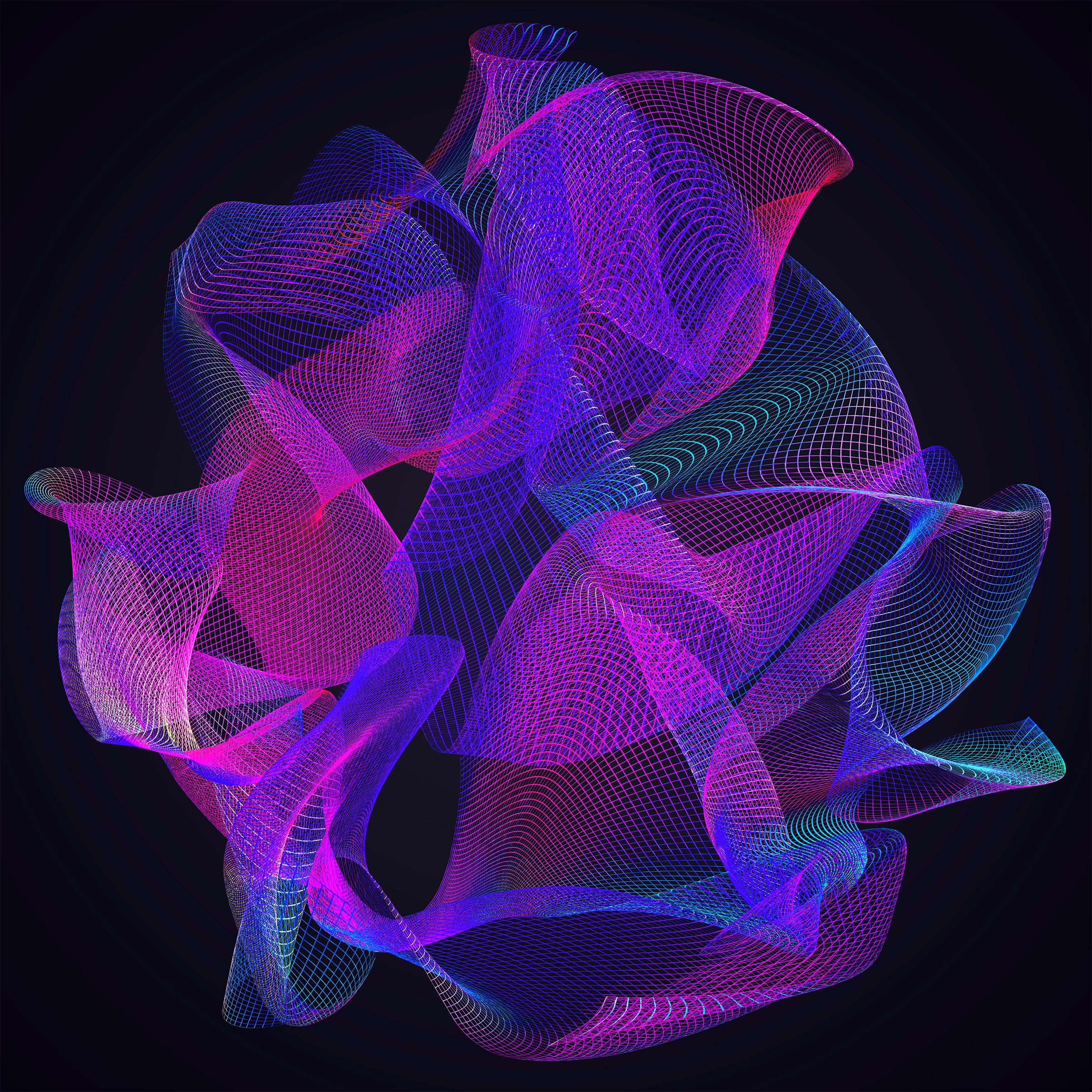 A cross-section of a Calabi-Yau manifold.