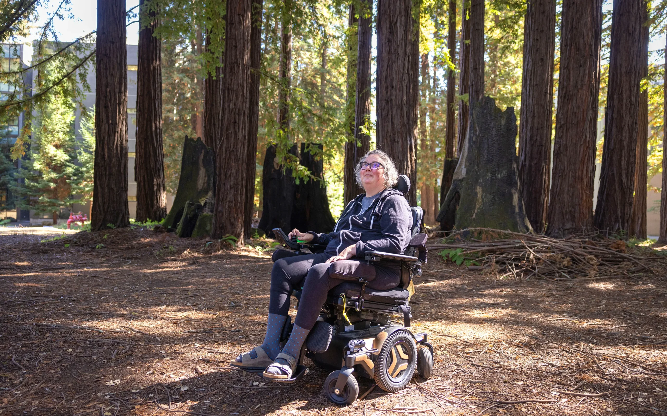 The researcher Carrie Partch looks up into the redwood trees on the campus of the University of California, Santa Cruz, from her motorized wheelchair.