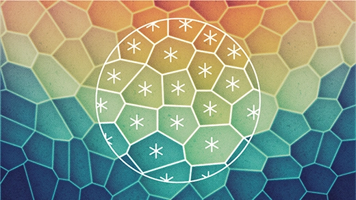 An illustration of a sheet of cells, each with sixfold rotational symmetry. Markings outline that symmetry in a handful of individual cells. Within the tissue, cells also exhibit a higher-order twofold symmetry that emerges at more zoomed-out scales and is indicated by different colors.