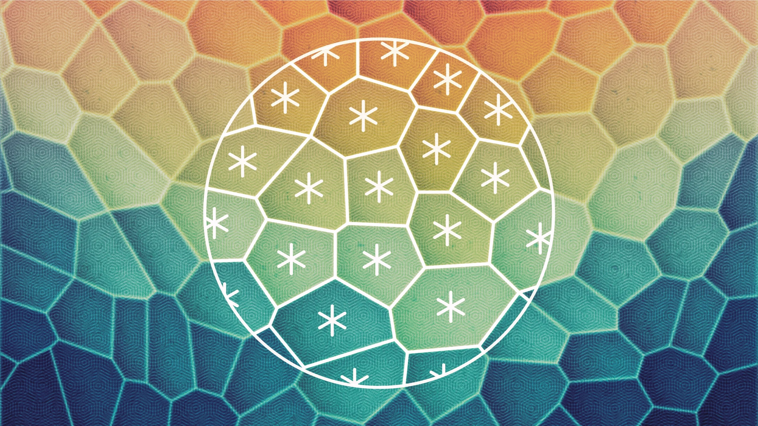 An illustration of a sheet of cells, each with sixfold rotational symmetry. Markings outline that symmetry in a handful of individual cells. Within the tissue, cells also exhibit a higher-order twofold symmetry that emerges at more zoomed-out scales and is indicated by different colors.