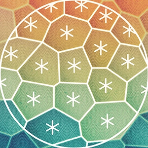 An illustration of a sheet of cells, each with sixfold rotational symmetry. Markings outline that symmetry in a handful of individual cells. Within the tissue, cells also exhibit a higher-order twofold symmetry that emerges at more zoomed-out scales and is indicated by different colors.