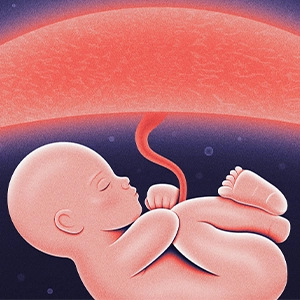 During Pregnancy, a Fake 'Infection' Protects the Fetus - podcast episode cover