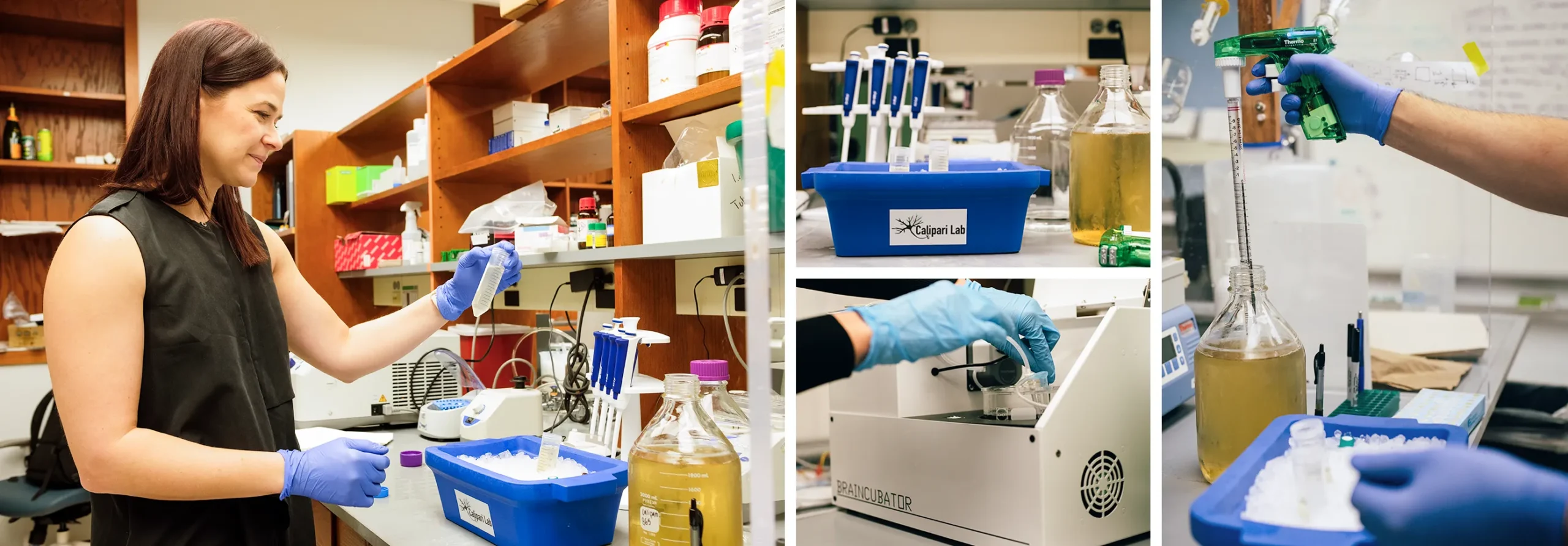 Calipari stands at a lab bench, holding and pipetting different reagents.