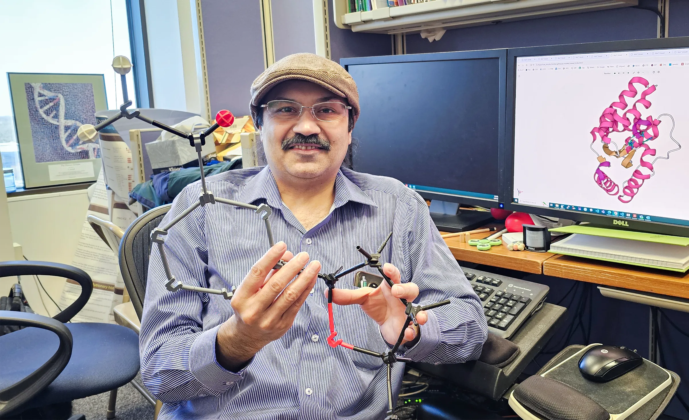 L. Aravind holds a plastic molecular model of nicotinamide dinucleotide, which is targeted in several forms of programmed cell death.