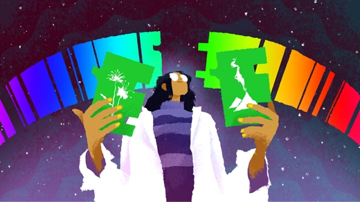 Illustration of a woman standing in front of a light spectrum; she is debating whether a missing frequency in the green part of the spectrum should be filled with a puzzle piece labeled “flower” or with a piece labeled “volcano.”